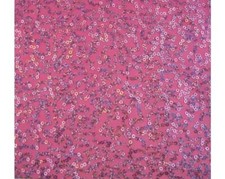 De Luxe Sequin Danse Wear