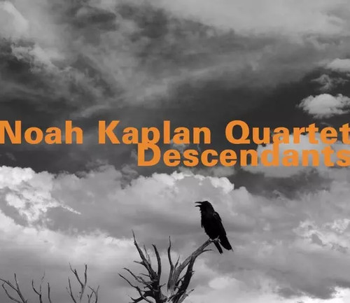 Descendants noah kaplan - descendants,,