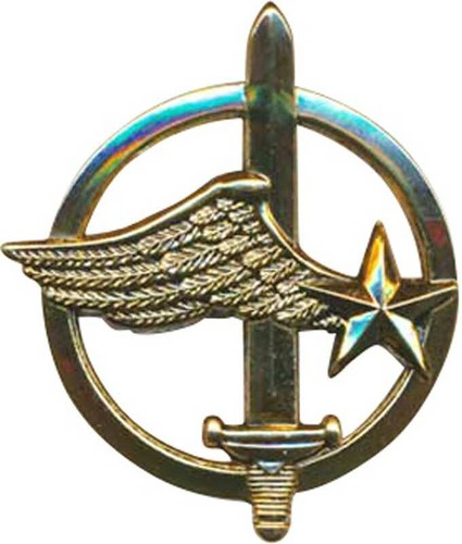 Insigne béret commandos - insigne, de