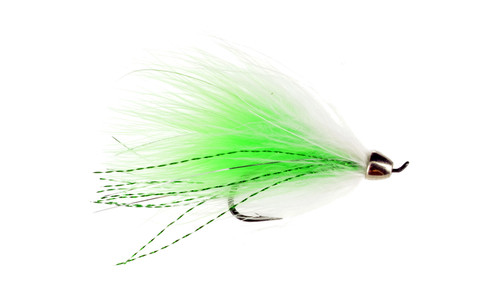 Conehead manhattan fly - conehead,