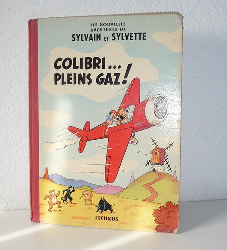 Sylvain et sylvette - sylvain,
