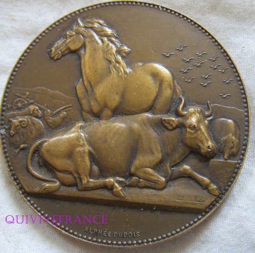Med10305 medaille cheval - -,