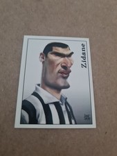 Panini Footballeurs 2000