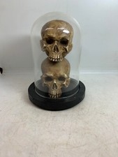 ANCIENNE TETE DE MORT EN