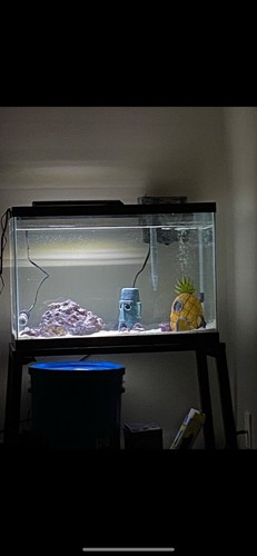 Complete aquarium setup - complete,