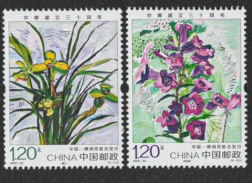 China 2025 - china, (30th)