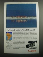 1991 Canon Canovision EX1Hi
