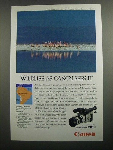 1991 canon canovision ex1hi - 1991,