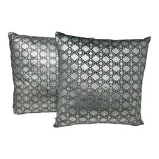 Lot de 2 coussins décoratifs