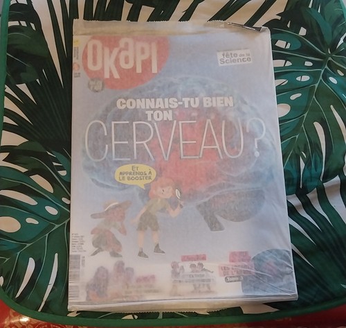 Magazine okapi 1229 - magazine,