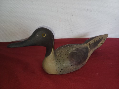 Canard bois appelant - en,