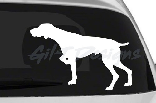German shorthaired pointer 2 - german,