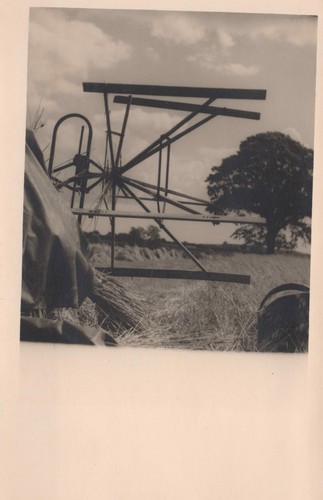 Ancienne carte postale photo - carte,