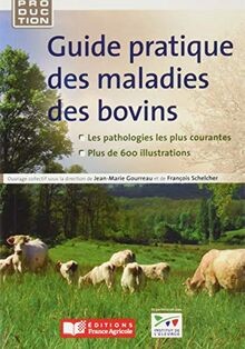 Guide pratique des maladies - pratique,