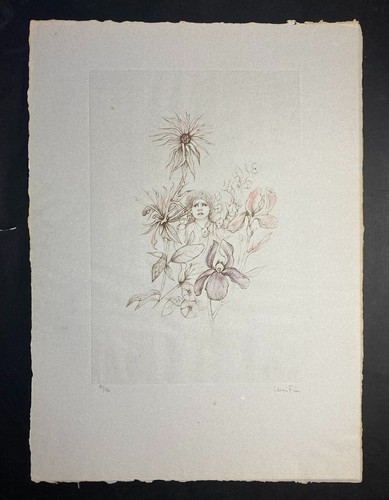 Grande gravure leonor fini - gravure,