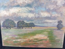 Paysage Pairie Arbres