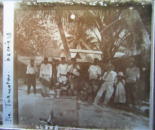 Rare iles tuamotu gambier - rare,