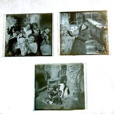 Rare Début XXe 3 Photos Sur Plaque De Verre Chien Et Chat Scène De Vie
