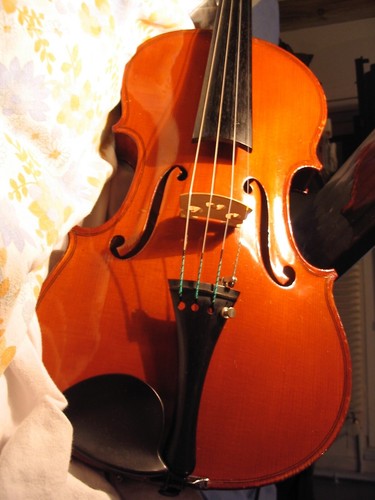 Violon nicolas bertholini - violon,