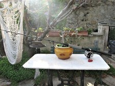 CANNA TRAINA SHIMANO TIAGRA TCurve 3050R + PENN SENATOR 6/0 + MONEL