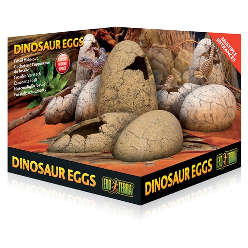 Exo terra oeufs dinosaure - oeufs,