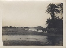 Algérie Laghouat Caravane Photographie Vintage Argentique c1925