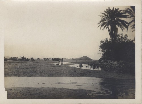 Algérie laghouat caravane - algérie,