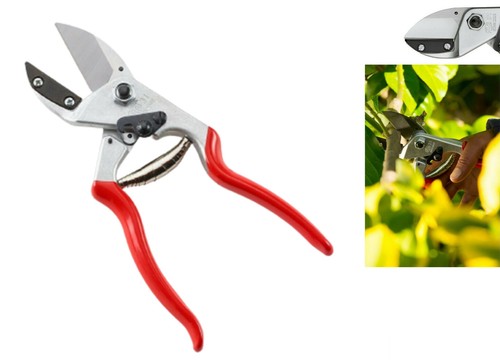 Felco pinces élagage à - :,