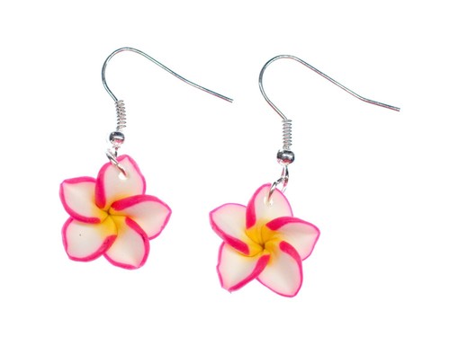 Frangipani plumeria fleur - frangipani,