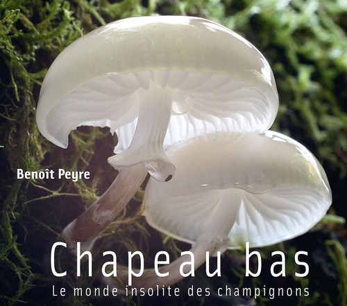 Chapeau bas le - bas, :