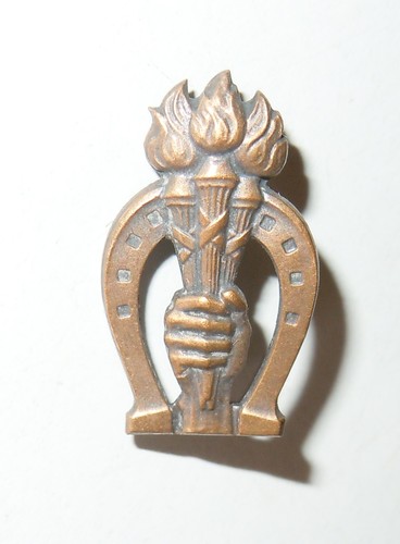 Insigne épinglette politique - insigne,