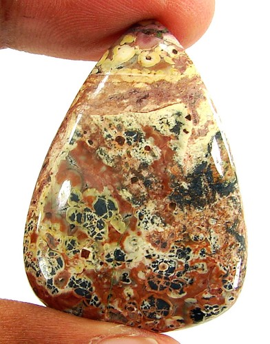 Jaspe de peau - ct,