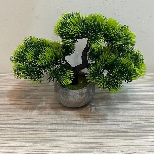 Plante pot plastique - en,