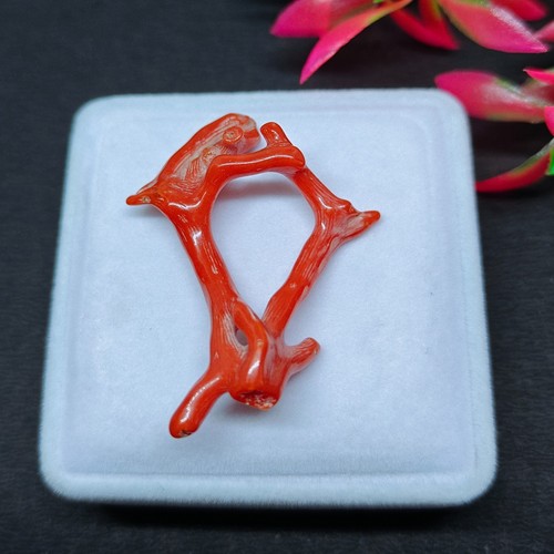 Branche polie corail rouge