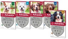 ADVANTIX¹ chien 1-60 kg protection externe parasite flea treatment 4 pipettes