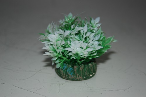 Aquarium petit nano plantes - aquarium,
