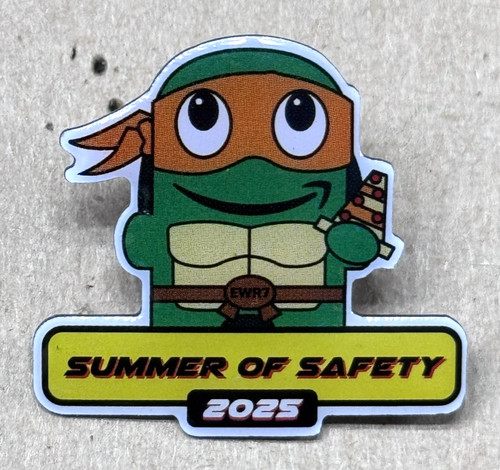 Ninja turtle summer safety - summer,