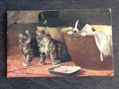Illustree raphael tuck - cp,