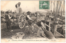 ROSCOFF (29) - Embarquement des Oignons pour l'Angleterre