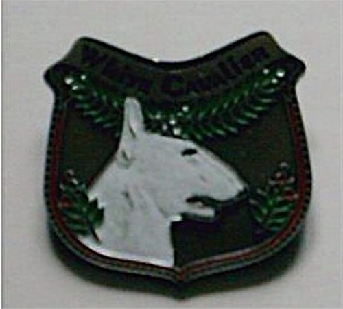 Pin bullterrier anglais bull - bullterrier,