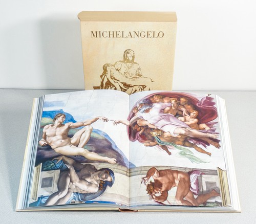 Livre michel ange - ⚜️,