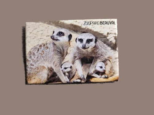 Aimant magnet zoo de - zoo, beauval