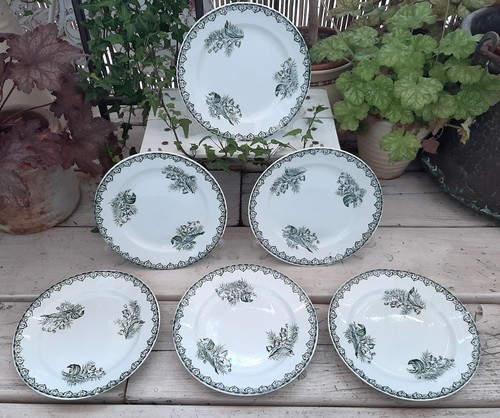 Assiettes desserts amant - 6, st