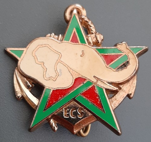 Insigne ricm ecs - insigne, type