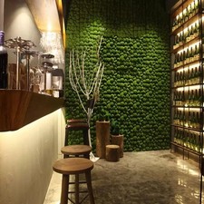 Découvrez la beauté d'un mur