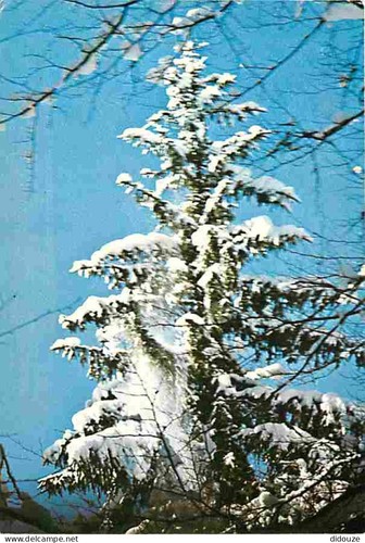 Carte postale morzine - -,