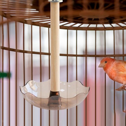 Mangeoire pour oiseaux coupe - mangeoire,