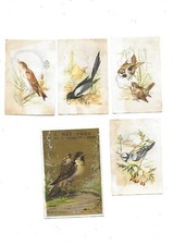 5 anciens chromos  images