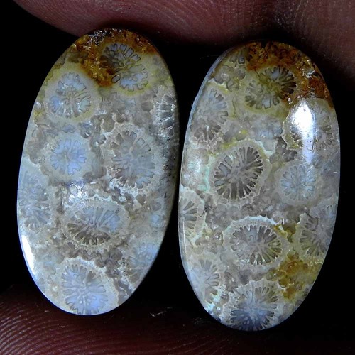 Paire ovale cabochon - , pierre