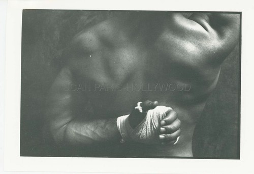 James fox male - james,